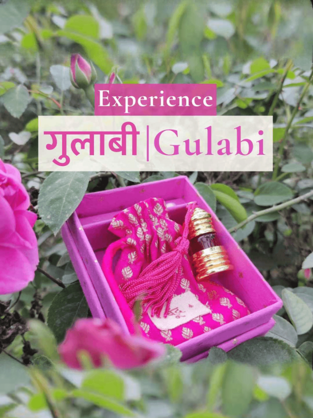 गुलाबी | Gulabi Natural Perfume Oil (Indian Rose Attar)