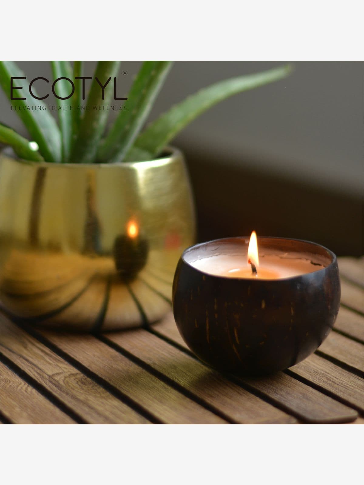 Ecotyl Coconut Shell Candle - Patchouli & Rosewood | Pure Soy Wax | 100g 