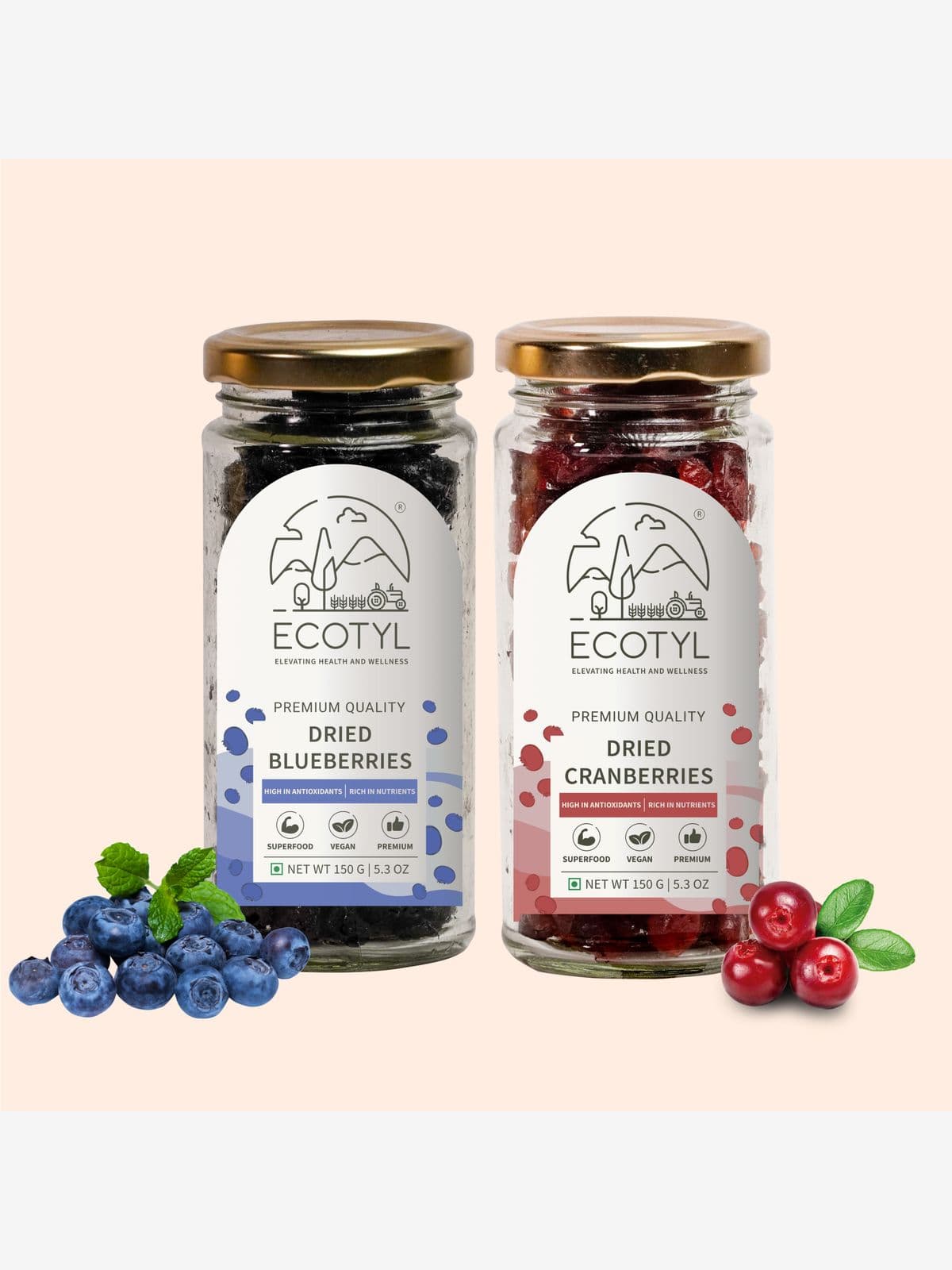Dried Blueberres & Dried Cranberries Combo | Healthy Snacks | Dried Fruits | 150g Each