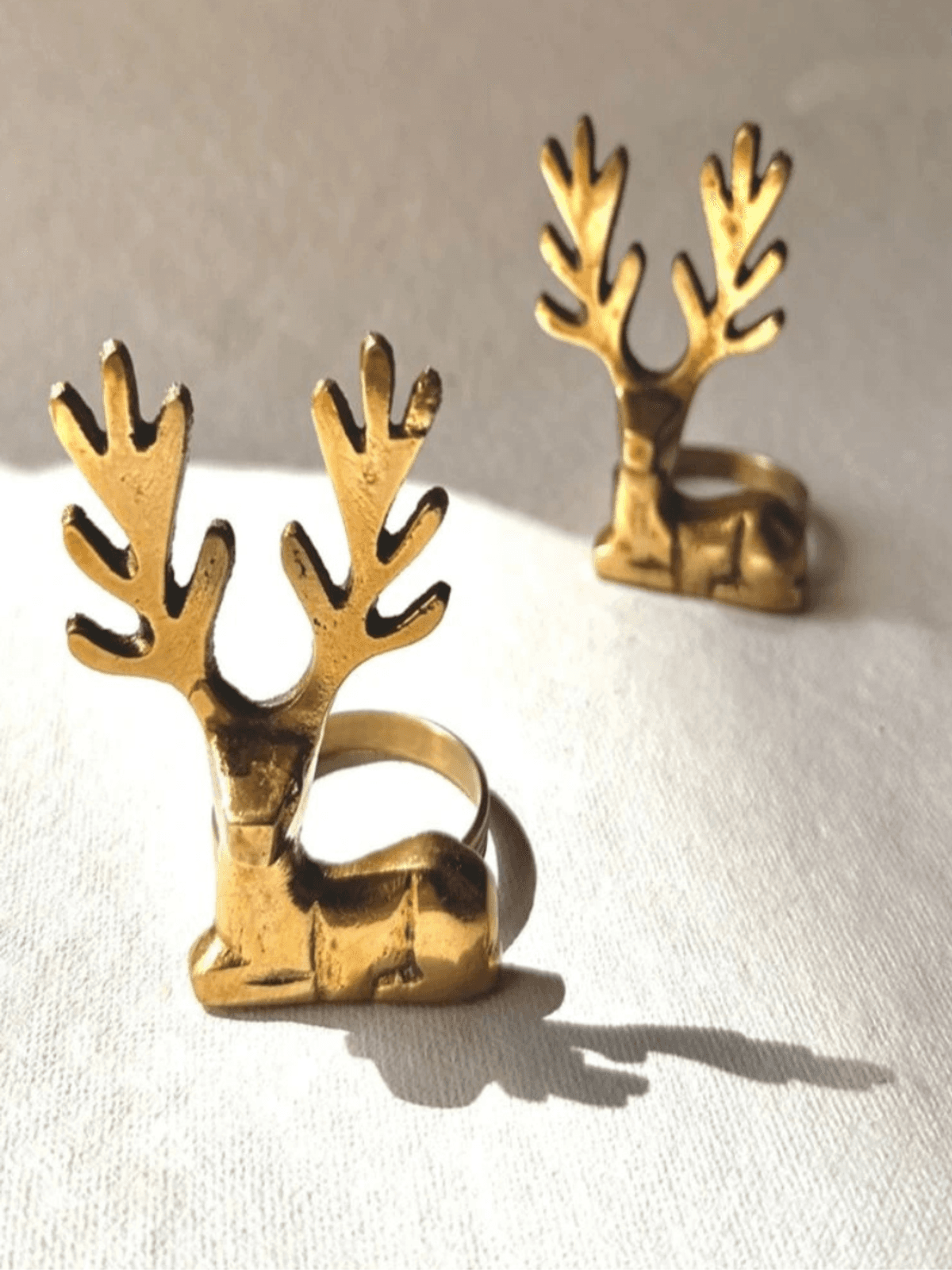 Kasturi Napkin Rings