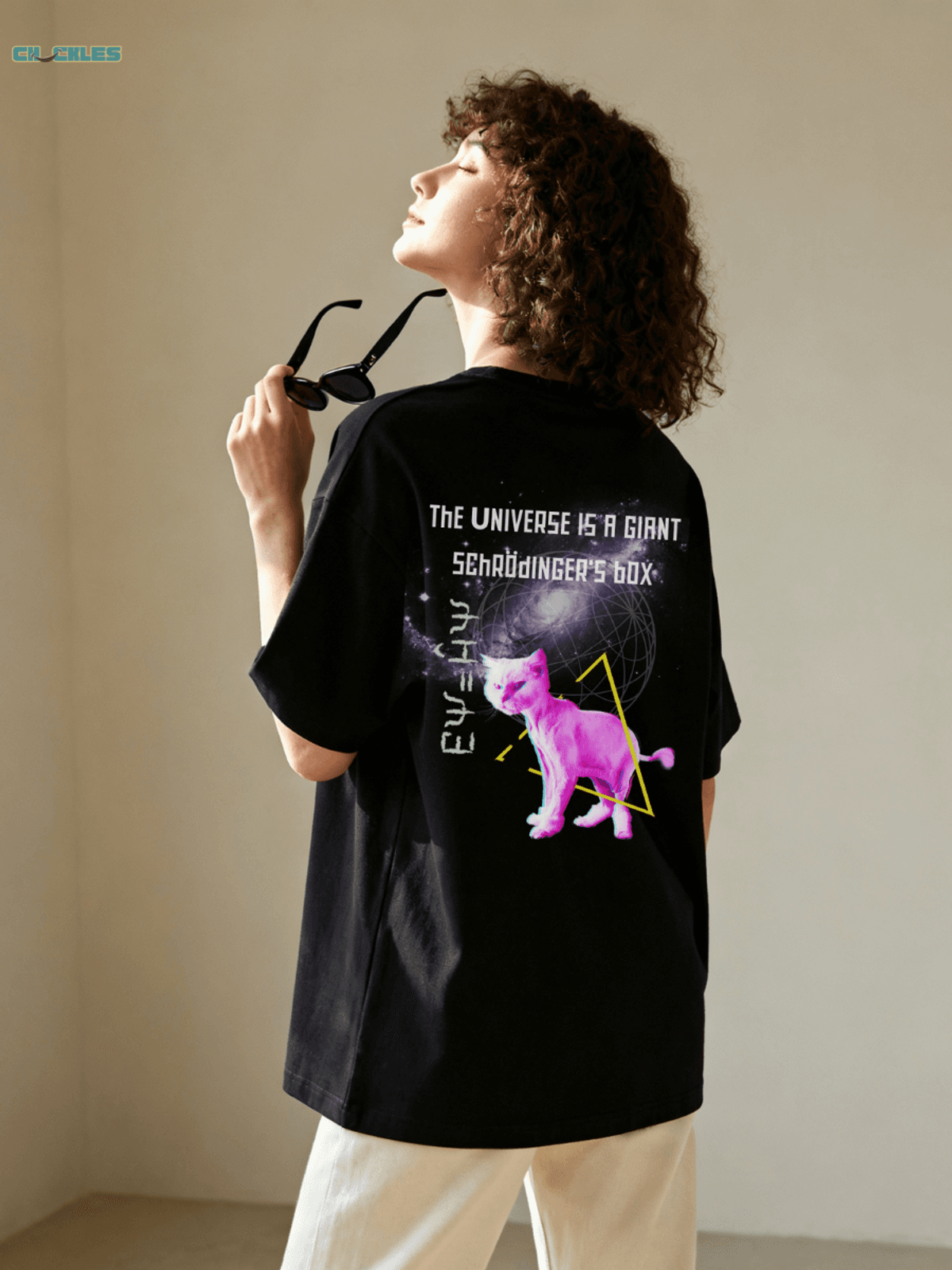 Premium Oversized Schrodinger's Box Tee