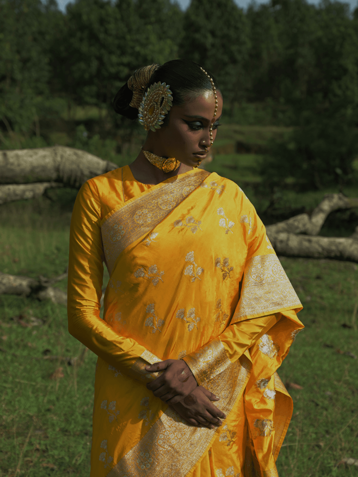 Mrignayani Mrignayani