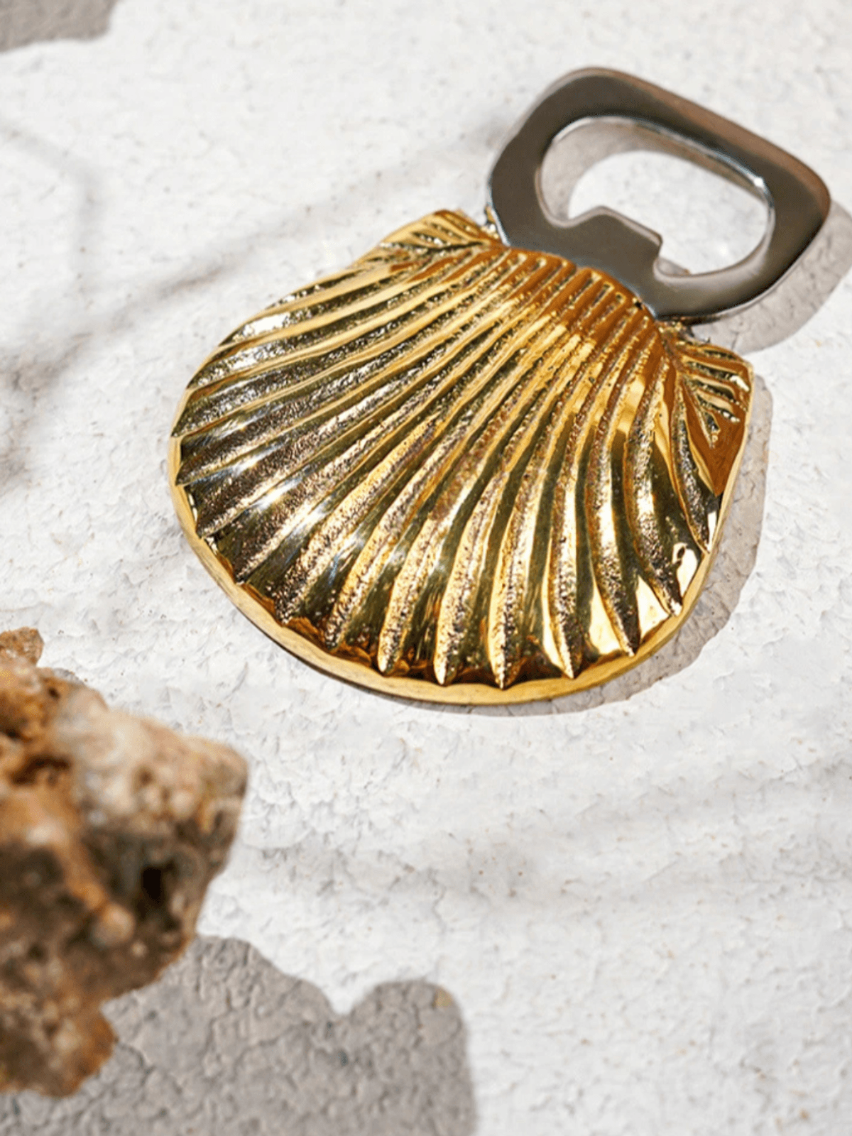 Shell Bottle Opener Shell Bottle Opener
